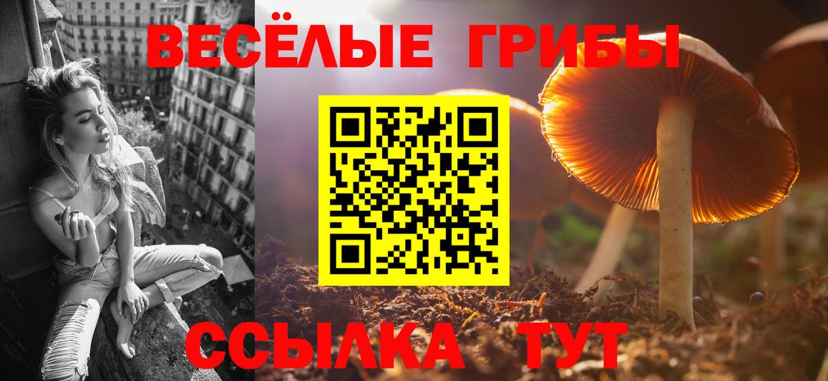 Галлюциногенные грибы Magic Shrooms  Вход с VPN  Касимов 