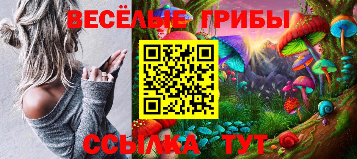 Галлюциногенные грибы MAGIC MUSHROOMS Касимов