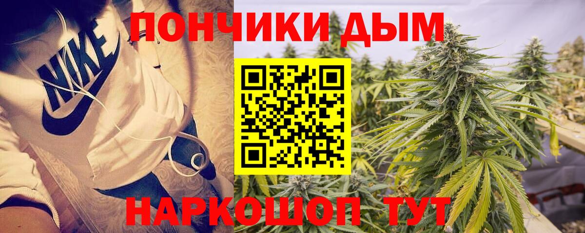 Конопля сатива Касимов